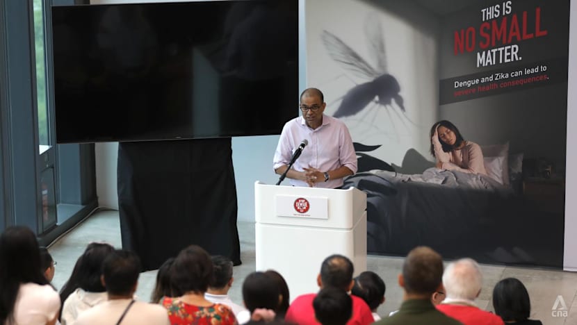 NEA launches dengue prevention campaign as Singapore enters traditional peak season for cases