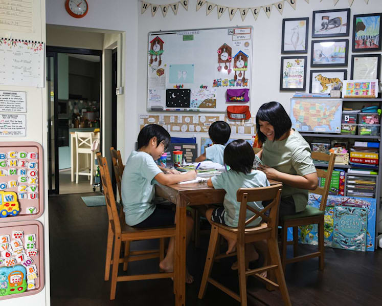 The Big Read: Not for the faint-hearted — inside the world of homeschooling and how to tell if it works for your family