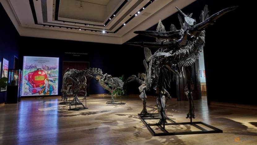 Three dinosaur fossils from Jurassic period headed for London auction