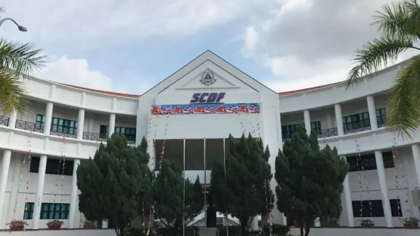 Lelaki dihukum penjara 24 minggu kerana elak NS; tinggal bersama ibu bapa di Batam