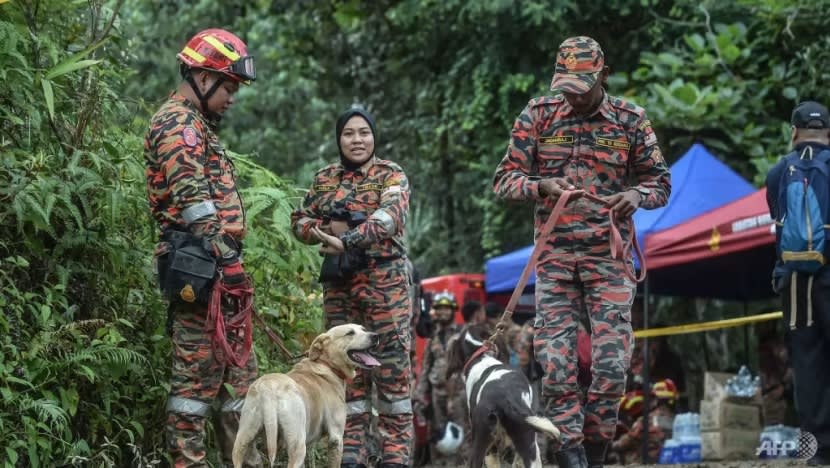 Tanah runtuh Genting Highlands: Anjing pengesan K9 direhatkan setelah rebah akibat keletihan