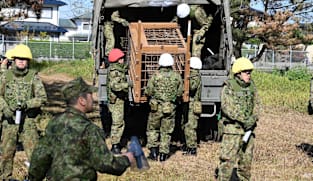 Japan sends troops to combat deadly wave of bear attacks