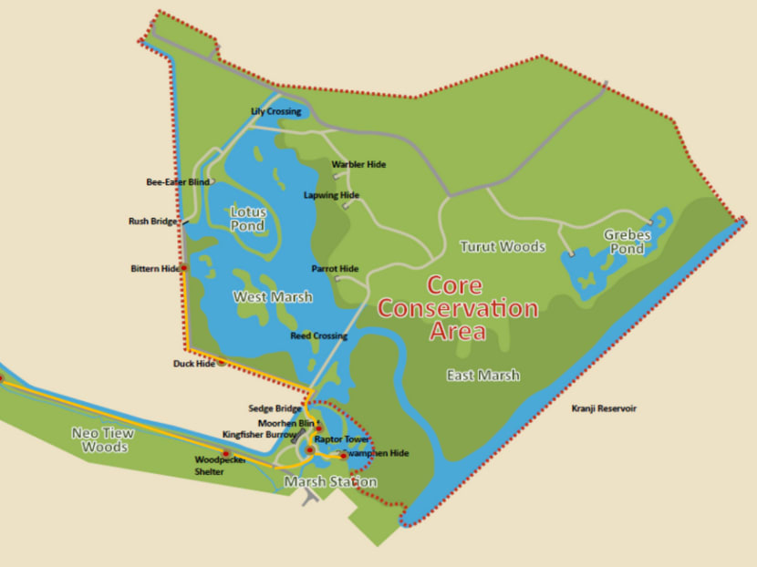 Rich biodiversity on offer as Kranji Marshes open Rich biodiversity on offer as Kranji Marshes open