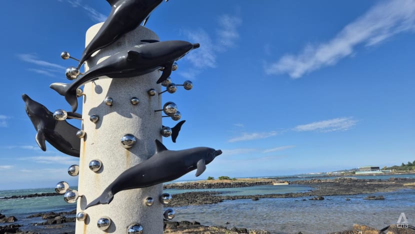 Dolphins around South Korea’s Jeju Island dying from overtourism, pollution, say experts Dolphins around South Korea’s Jeju Island dying from overtourism, pollution, say experts