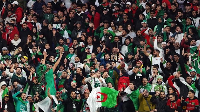 Petkovic - ‘Every game tougher’ as Algeria chase African crown