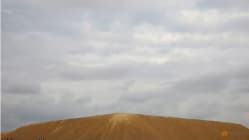 Related article image