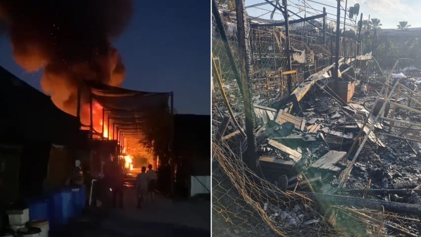 Fire wipes out part of Terrascapes plant nursery in Chua Chu Kang, caged birds die