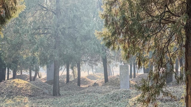 【城市呼吸｜沈斯涵】山东孟母林：孟母三迁之后