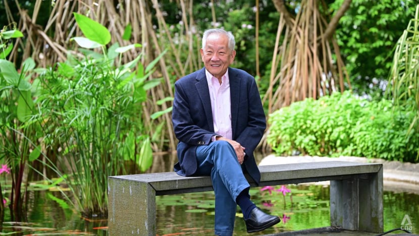 Ng Kok Song: The boy from a fishing village who wants to be a 'politically independent' President