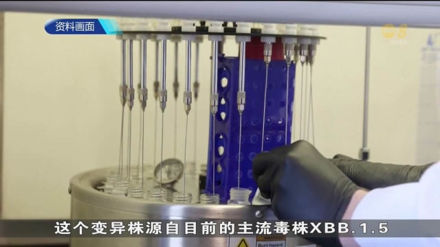 新变异毒株携带大量刺突基因 因此被列入监控名单