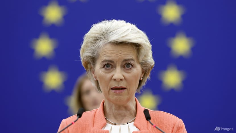 Top EU official vows to 'stress test' pipelines after leaks