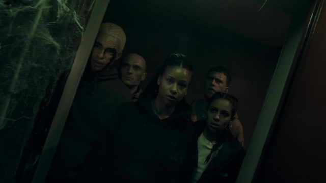 新片上映：Infested