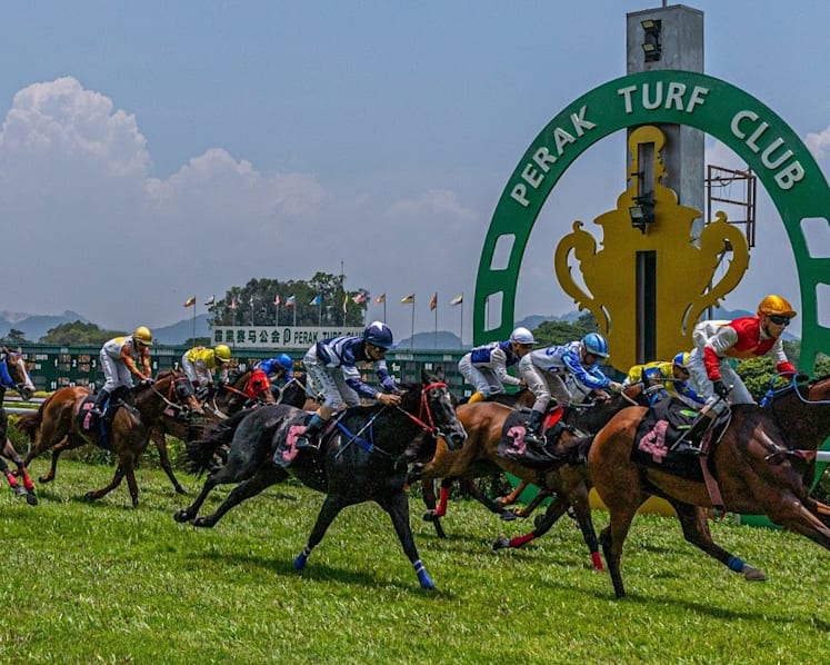 Selangor, Perak turf clubs fight for horse racing’s future in Malaysia – with pickleball courts and car showroom