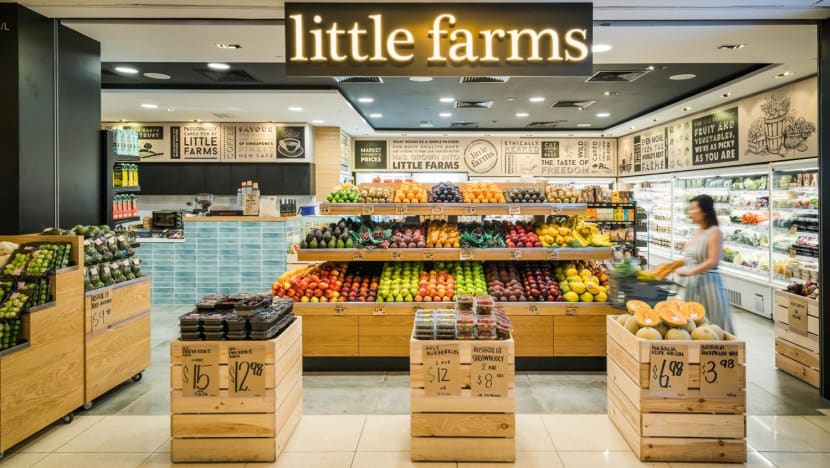 Little Farms fined for failing to arrange for SFA inspections, selling imported food before checks