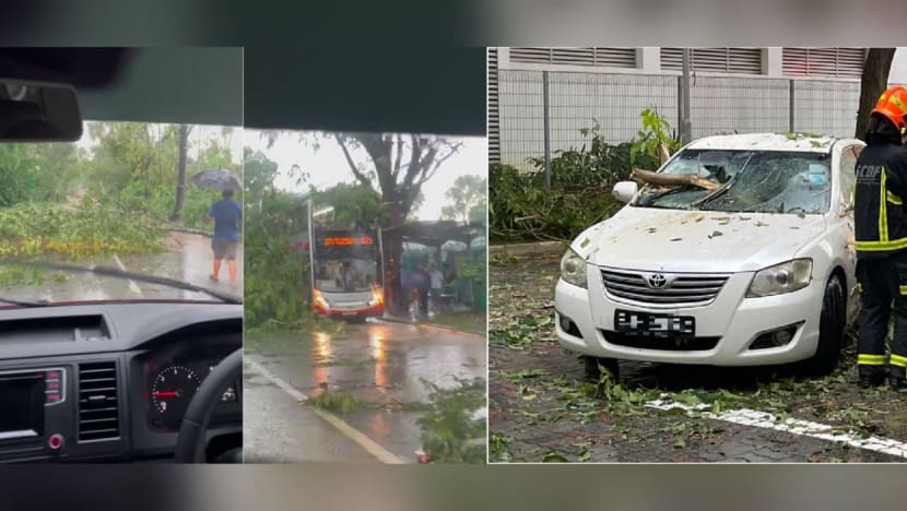 Pokok tumbang hempap bas, kereta akibat hujan lebat Pokok tumbang hempap bas, kereta akibat hujan lebat