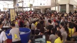 Related article image