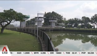 Raising Kranji dam, allowing some areas to flood briefly among ideas to protect northwest coastline