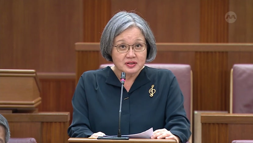 'Competitors but not enemies': Sylvia Lim says PAP and WP share duty to Singaporeans