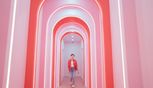 Oddball Adventures in Singapore