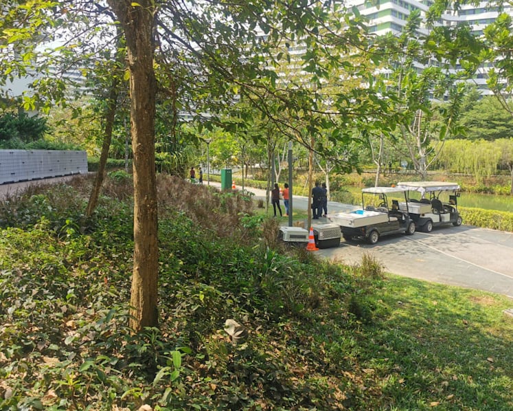 Wild boar caught after attacking Punggol resident, NParks officer