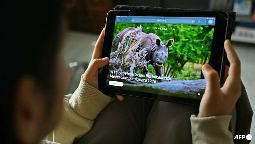 Indian tycoon's giant Vantara zoo announces 'reset', rethinks imports