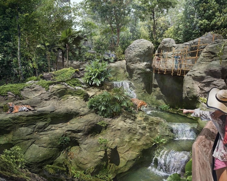 Singapore's fifth wildlife park to open in March 2025