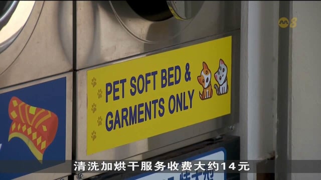 自助洗衣店业者看准商机 增设宠物专用洗衣机和烘干机