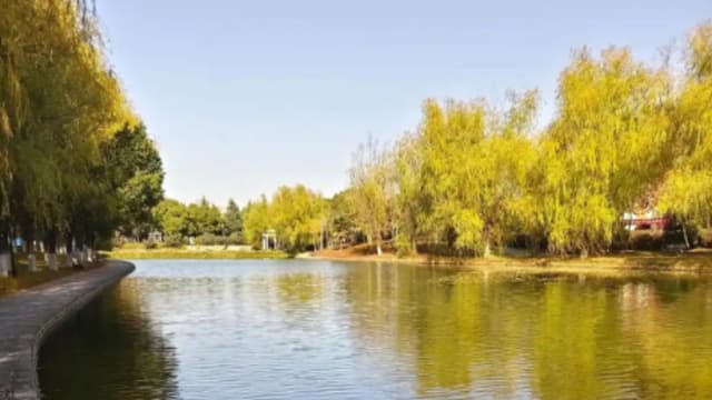 疑参与“猫抓老鼠”游戏  安徽高校学生校园湖中溺亡　