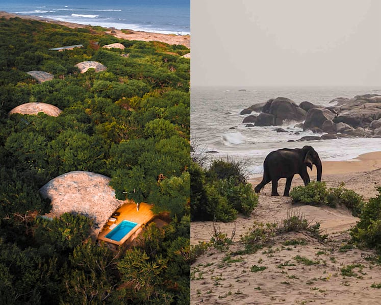Just four hours from Singapore, Sri Lanka offers two very different safari experiences Just four hours from Singapore, Sri Lanka offers two very different safari experiences