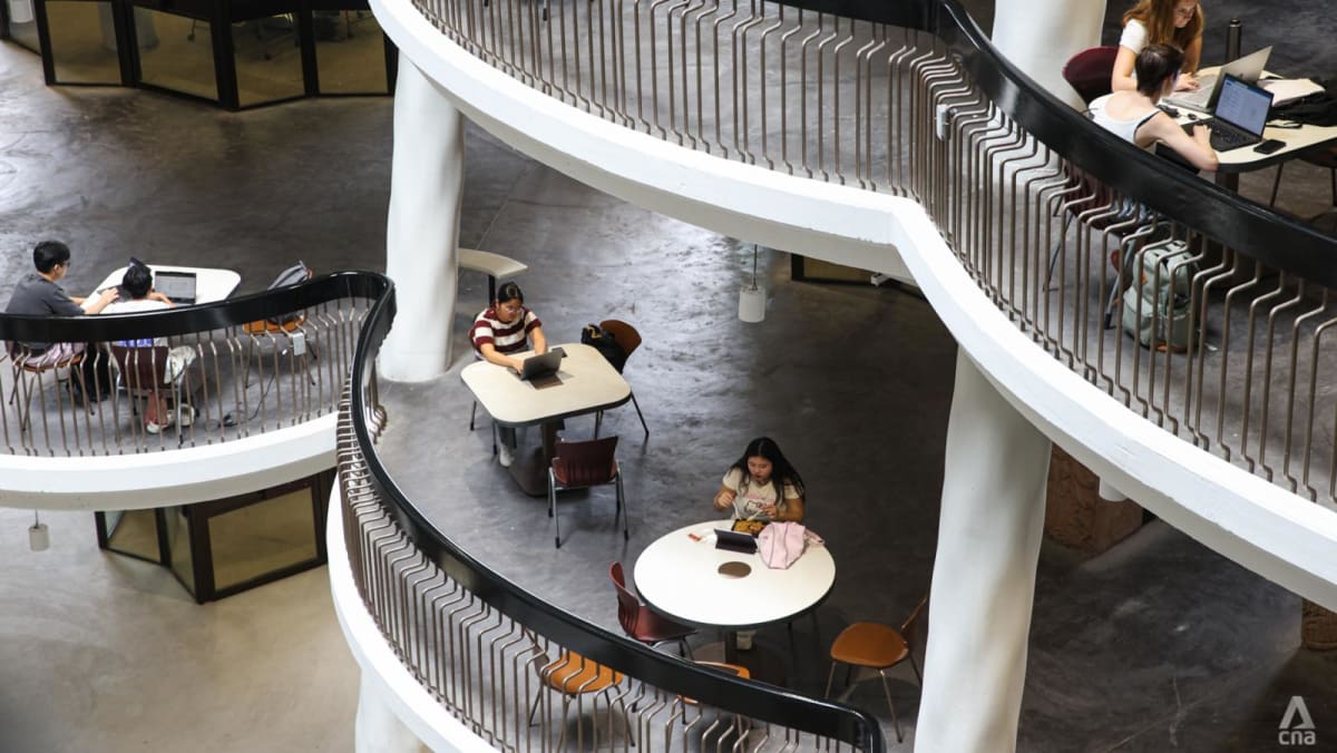 Over 4 times more youths in Singapore, Vietnam upbeat about domestic politics than Indonesians, Thais: Survey