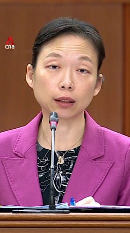 Degree holders made up 66.4% of retrenched residents in 2025: Jasmin Lau  