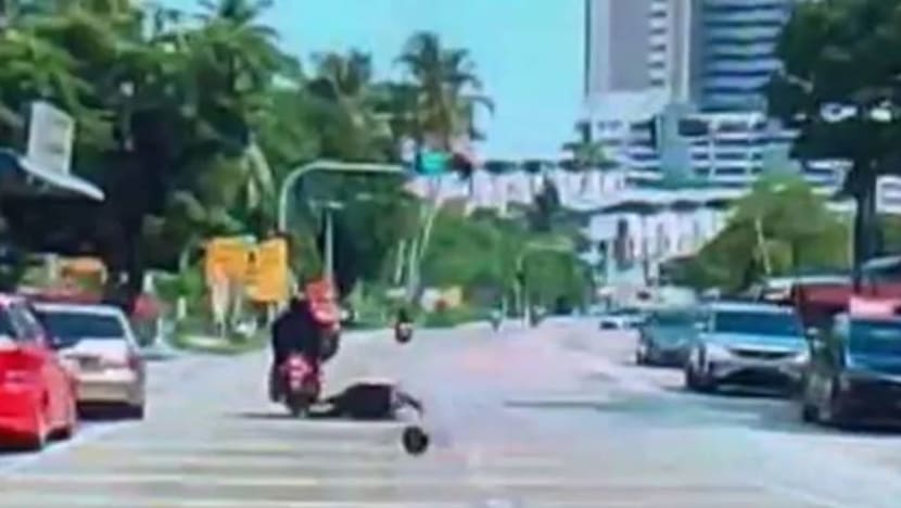 Wanita cedera parah ditimpa buah kelapa di jalan raya Pulau Pinang Wanita cedera parah ditimpa buah kelapa di jalan raya Pulau Pinang