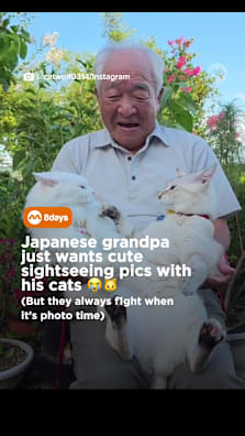 Beautiful scenery: 10/10 Cats getting along: 0/10 🤣 #8dayssg #8dayssgtrending #cat #fyp #sgfyp