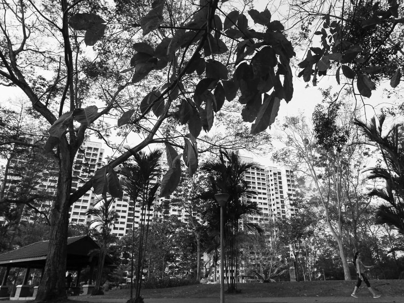 Singaporeans need to take ownership in water conservation and change consumption habits. During the recent spell of drought and haze, household water consumption went up. TODAY File Photo