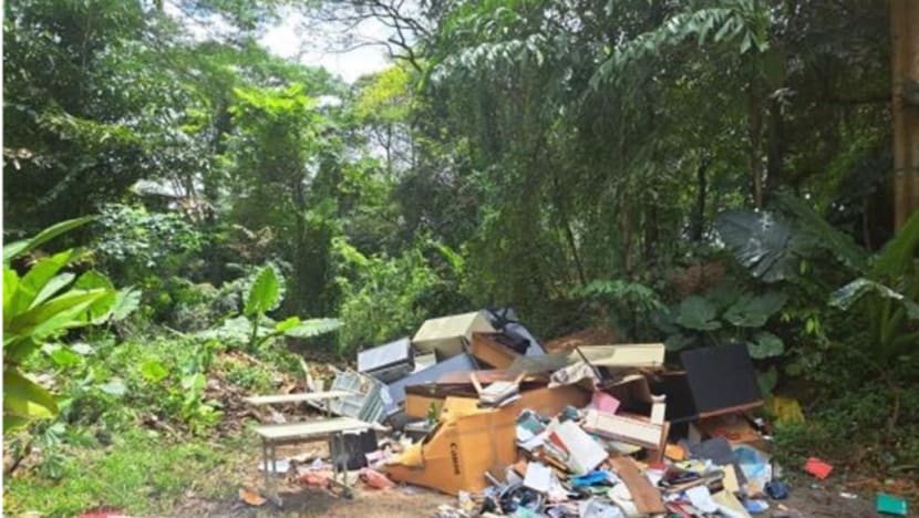 Moving company supervisor gets S$8,000 fine for illegally dumping office furniture in secluded Bukit Timah spot Moving company supervisor gets S$8,000 fine for illegally dumping office furniture in secluded Bukit Timah spot