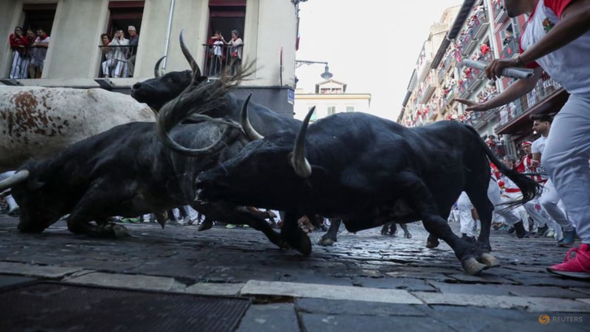 One man gored and seven others bruised in Spain's bull running festival ...
