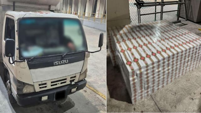 蔬菜罗厘藏逾800条漏税烟 33岁马国司机被捕
