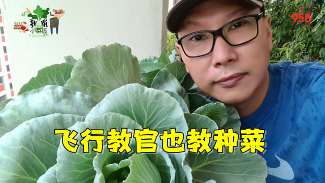 【我家小菜园】第三集：飞行教官也教种菜  悟出种菜减压法