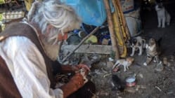Related article image