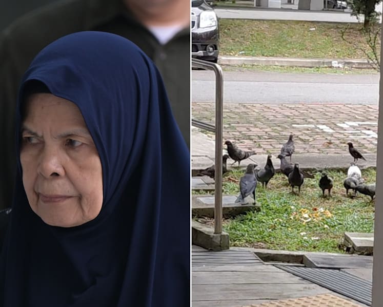 78-year-old woman fined for repeatedly feeding pigeons, hitting surveillance officer 78-year-old woman fined for repeatedly feeding pigeons, hitting surveillance officer
