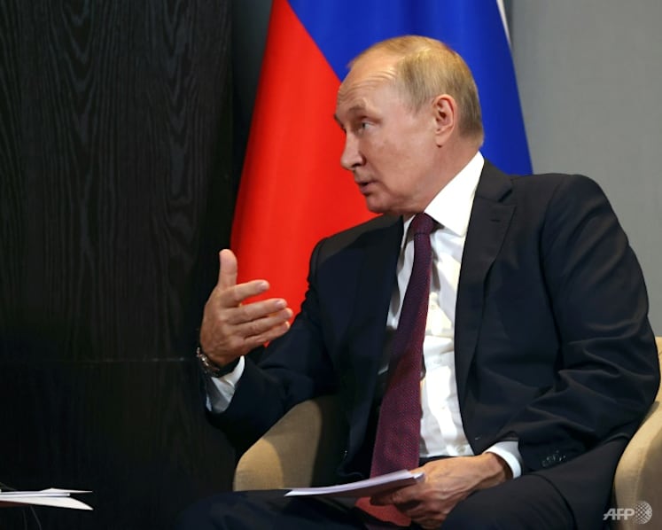 Russia mobilisation a 'sign of weakness': US ambassador in Ukraine 