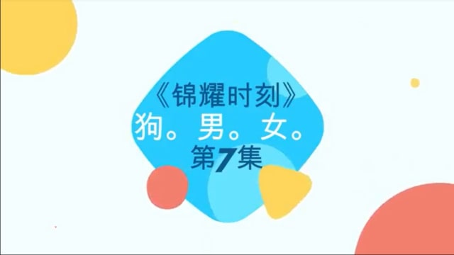 【锦耀时刻】第七集：狗、男、女