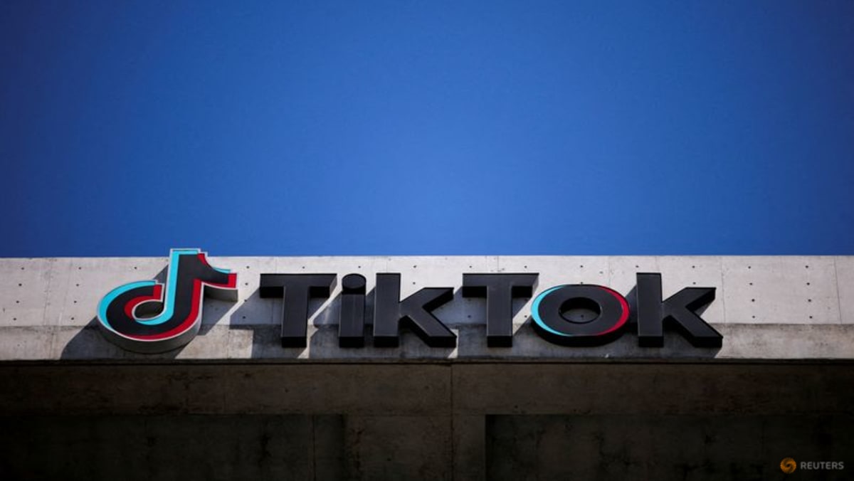 AppLovin bids for TikTok in all markets outside of China