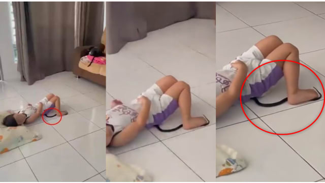 小孩躺“玩具蛇”玩耍 母亲：是剧毒眼镜蛇！