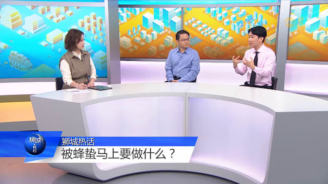 狮城有约 | 蜂蜇蚁咬别大意 严重可致休克！做错一步可能更危险！