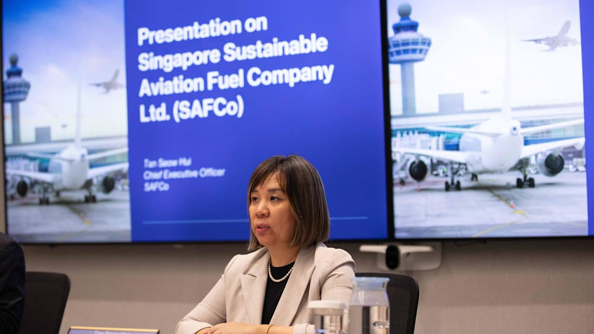 Singapore forms company to secure affordable, stable supply of sustainable aviation fuel