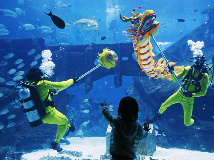 An underwater dragon dance