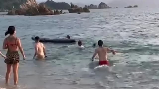 日男海边游泳 遭“性焦虑”海豚攻击