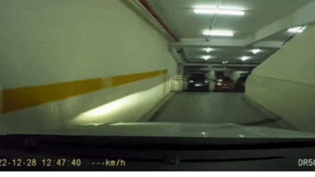 男子报警称被撞后逃 行车记录器拍到的罪魁祸首竟是“他”