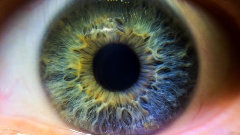 Turning eyes to artwork: Safety, privacy risks in view as young Chinese look towards iris photography